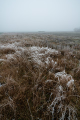 Obraz premium Frozen ground