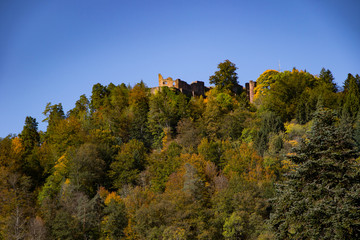 Fototapeta na wymiar Burg Hohenschramberg Schwarzwald