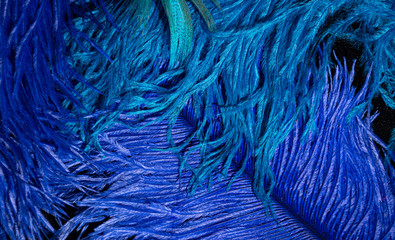 colorful feathers on a black background
