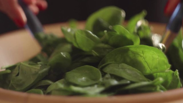 close up di due cucchiai che girano foglie di insalata verde
