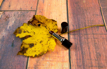 Lipstick on a wooden background, autumn shades, autumn colors