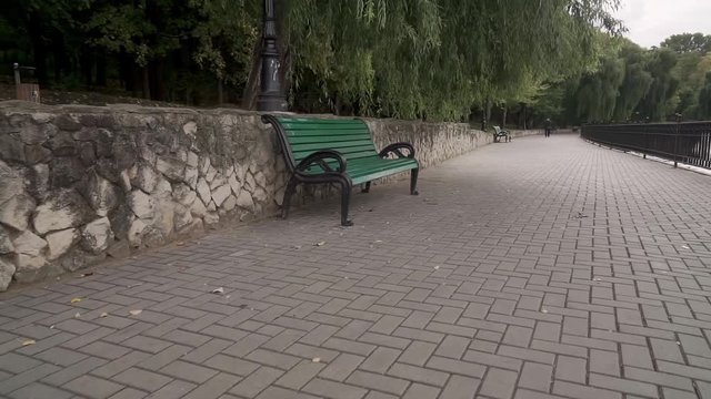 Camera movement in front of an empty lake promenade in a city park. Overcast autumn day.