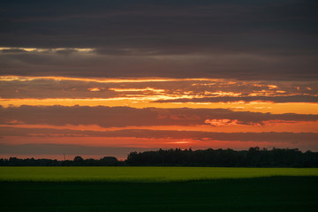 Fototapeta na wymiar summer sunset