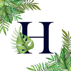Hand painted watercolor floral alphabet art. Combination of dark H letter and tropical leaves to create delicate designs for weddings, logo, greeting cards, mood boards, posts, magazines