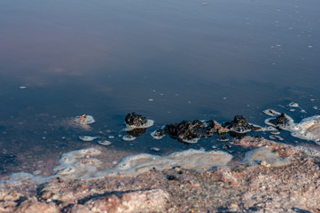 Salt lake Crimea autumn. autumn in the Crimea. Salt and texture. Salt crystal.
