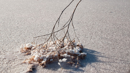 Salt lake Crimea autumn. autumn in the Crimea. Salt and texture. Salt crystal.