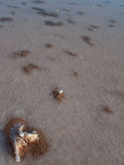 Salt lake Crimea autumn. autumn in the Crimea. Salt and texture. Salt crystal.