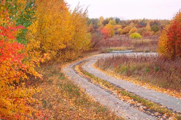 Naklejka premium Bright multi-colored motley trees grow in autumn along a rural road