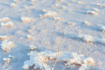 Salt lake Crimea autumn. autumn in the Crimea. Salt and texture. Salt crystal.
