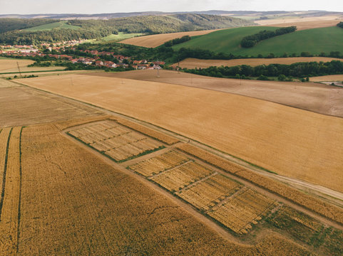 Experimental wheat fields seen from high above