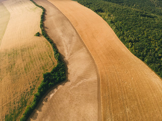 Farm fields seen from high above