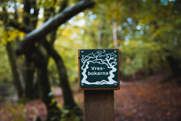 A small sign showing where the gnarly beeches are in a wooded area in southern Sweden.