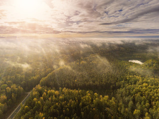 Aerial view, Green forest, Blue cloudy sky, Latvia.  Warm autumn day. Sun rays and flare.