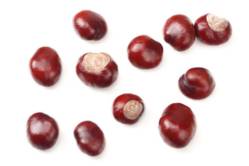 chestnuts isolated on white background. top view