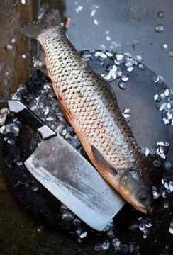 Fresh ingredients, grass carp from the river