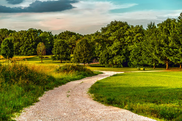 A dirt road leading into the woods on a relaxing summer day in the middle of nowhere in southern...