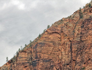 Mountainside in Zion