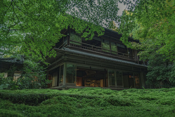 京都　瑠璃光院　お寺　寺社仏閣　紅葉　日本庭園　四季　拝観　特別公開　写真素材　広告