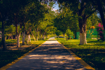 naturaleza