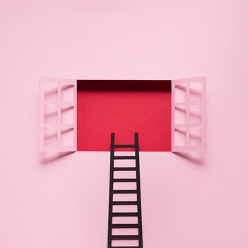 Ladder in the window