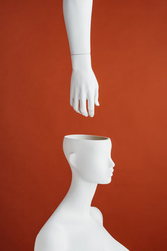 Hand coming in a mannequin?s head.