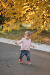 Adorable little girl walk in the parl in october. Cute ten month baby walk. Beautiful happy girl. Autumn mood