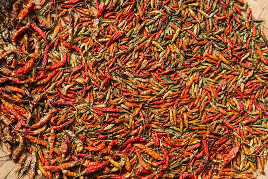 Sun dried chillies