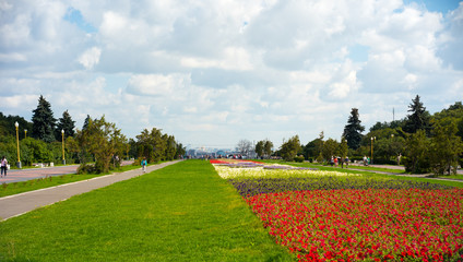 Obraz premium Central alley, observation deck on the Sparrow Hills.