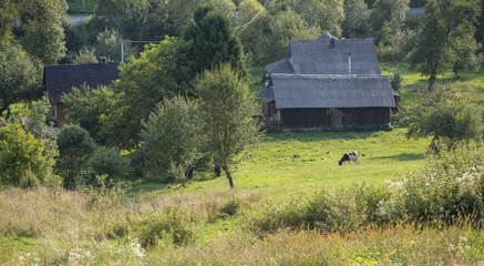 traditional rural landscape in the Carpathians. mountain landscape with traditional agriculture. Classic rural landscape with traditional agriculture in the Carpathians, Ukraine.