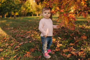Beautiful little girl play with red leaves near the tree in autumn. Happy ten month baby walking in the park