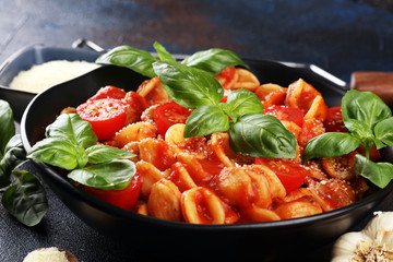 Pasta orecchiette. Plate of delicious orecchiette with tomato sauce garnished with parmesan cheese and basil on rustic background