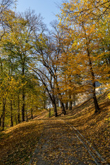 Jesień,park. Przemyśl