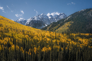 Winter Mountains Meet Autumn Leaves