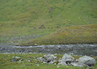 Lapland glacial river with herd of northern reindeer grazing on rocky green hill slope.