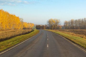 Fototapeta premium the road goes into the distance