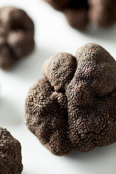 Closeup of black truffle on white background