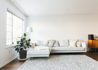 Beautiful interiors of minimalist home with lamp, sofa, rug and plants