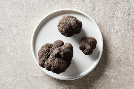 Composition of black truffles on plate