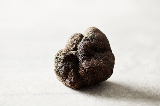 Closeup of rough black truffle