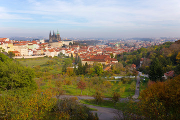 Obraz premium Autumn Prague City with gothic Castle and colorful Nature and Trees from the Hill Petrin, Czech Republic