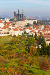 Obraz premium Autumn Prague City with gothic Castle and colorful Nature and Trees from the Hill Petrin, Czech Republic