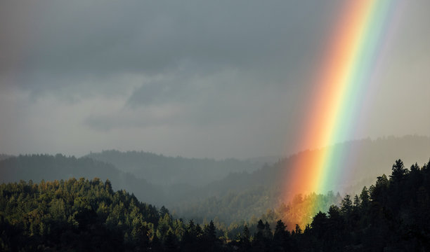 Bright rainbow shining on a valley of trees
