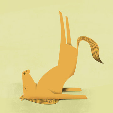 horse yoga