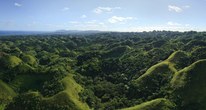 Aerial view of a jungle forest in the Dominican Republic