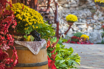 Multicolor Autumn warm flower