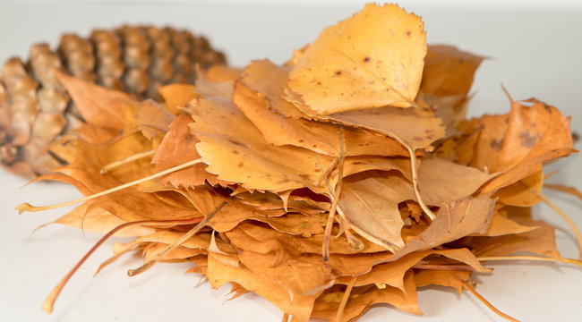autumn leaves on wooden background