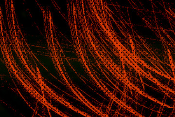 Abstract scribble grunge background texture with patterns