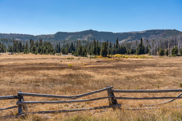 Fototapeta na wymiar Wooden fence in a field