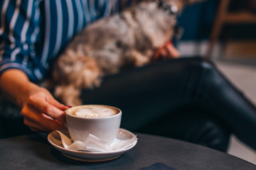 Girl drinking coffee with dog in caffe