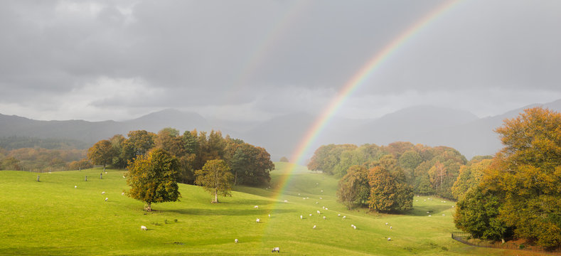 A multi image panorama of a double rainbow captured above a field of grazing sheep next to Lake Windermere in Cumbria.